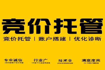 SEM竞价推广案例：打造行业领先的广告投放策略